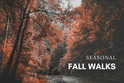 Fall Walks 